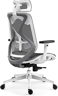 INNOWIN Berlin Ergonomic High Back Chair for Office & Home with Seat Slider Mechanism & Aluminum Base (Grey White, Nylon)| 3 Years Limited Warranty Office